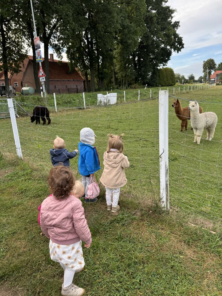Ausflug zur Weide